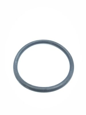 L55595 Oring