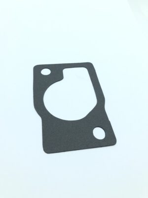 R123345 Uszczelka termostatu