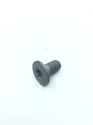 84926 Trioliet Śruba Torx M10x19 10.9 kr.